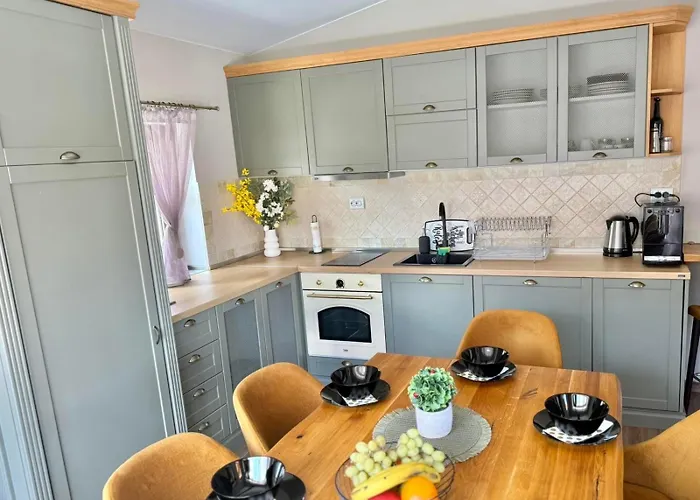 рафаела-мартина 도브리니쉬트